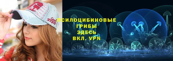 прущие грибы Балахна