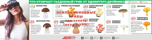 прущие грибы Балахна