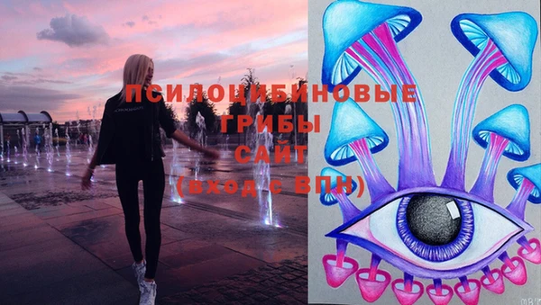 прущие грибы Балахна
