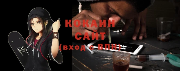 прущие грибы Балахна