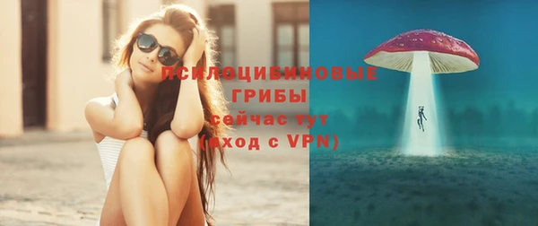 прущие грибы Балахна