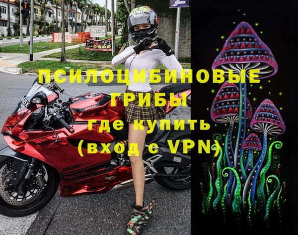 прущие грибы Балахна