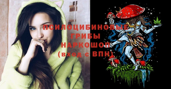прущие грибы Балахна