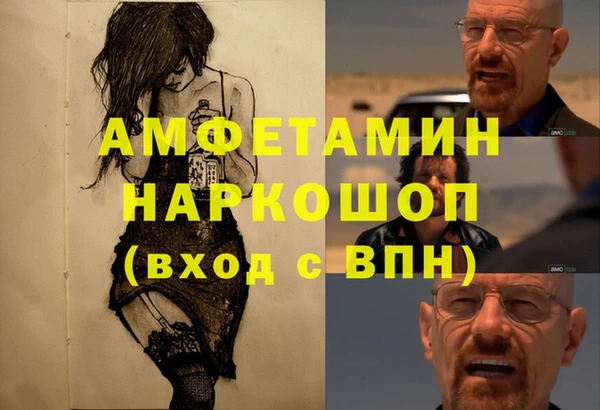 прущие грибы Балахна