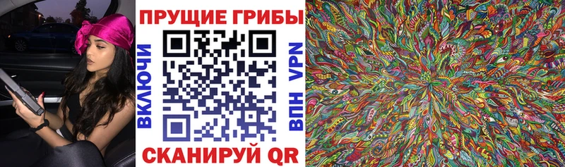 кракен как войти Верхнеуральск Псилоцибиновые грибы Psilocybine cubensis